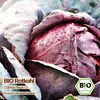 Samenliebe  Kohl Samen | Cabeza Negra 3 - winterhart & Produktbild-Vorschau 4