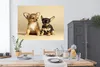 MuchoWow® Poster Zwei kleine Chihuahua-Welpen 160x120 cm - Produktbild-Vorschau 3