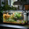 An aquarium with fish and plants, lit by an overhead lamp, placed on a surface near a window with plants. Produktbild-Vorschau