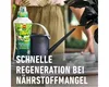 Grünpflanzendünger und Palmendünger COMPO mit extra Kalium Produktbild-Vorschau 6