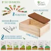 Samen Anzuchtset mit Holzbox und 8 Pflanzenarten Samen Produktbild-Vorschau 3