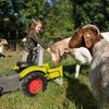 Anh?nger Claas für Tretfahrzeuge Rolly Toys, Anteprima dell’immagine prodotto 5