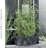 Květináč Cube beton effect antracit 20 cm Náhled obrázku produktu 8
