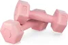 Two pink dumbbells are shown on a white background. Produktbild-Vorschau