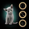 A kitten is featured in the center of the image, with three circular icons on the right side. Anteprima dell’immagine prodotto