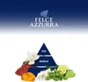 Doccia Menta/Lime Duschgel 250ml - Felce Azzurra Produktbild-Vorschau 4