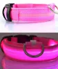 Hundehalsband Leuchthalsband Halsband für Hunde LED USB Produktbild-Vorschau 1