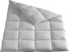 Häussling Königstraum Winter Daunendecke 135x200 cm | Produktbild-Vorschau 1