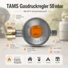 TAMS Gasdruckregler 50 mbar Produktbild-Vorschau 2