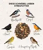 Dehner Natura, voeding voor wilde vogels, strooivoer in Productafbeelding-voorbeeld 9