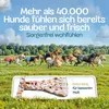 HUND IST KÖNIG Windeln für Hündinnen [3 Stk], L (Taille Produktbild-Vorschau 6