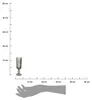 Arte Regal | Champagnerglas - Sektglas - Weinglas - 160ml - Produktbild-Vorschau 7
