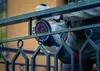 EXPERT Diamond Metal Wheel Trennscheibe, X-LOCK, 125x22,23 Produktbild-Vorschau 16