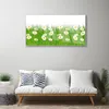 Acrylglasbilder 100x50 Wandbild Druck Gras Gänseblümchen Produktbild-Vorschau 3