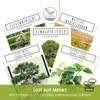Einzigartige Bonsai Samen mit hoher Keimrate - Pflanzen Produktbild-Vorschau 5