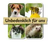 Neudorff Azet BlumenDünger - 1 Liter Produktbild-Vorschau 10