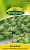 Quedlinburger Saatgut - Rosenkohl Roodnerf - Samen - 429702 Produktbild-Vorschau 5
