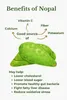 Nopal en poudre pour smoothies diététiques (Opuntia Voir les images du produit 6
