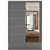 A gray wardrobe with a mirrored door and two drawers at the bottom. Voir les images du produit