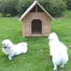 95cm cane canile gabbia per cani resistente alle intemperie Anteprima dell’immagine prodotto 4