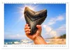 Verrückt nach Fossilien (Wandkalender 2027 DIN A4 quer), Produktbild-Vorschau 15