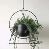 A black metal hanging planter with a green plant inside, against a white background. Produktbild-Vorschau