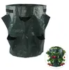 APT AG691A Borsa da giardino per fragole 170 x 330 mm Anteprima dell’immagine prodotto 2