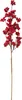Beeren Zweig "Beryll", L 54 cm Produktbild-Vorschau 2