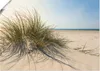 ARTland Poster Strandgras Größe: 70x50 cm Produktbild-Vorschau 1
