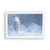 Gerahmtes Poster - Weißer Rahmen - Weiß Wolf Schnee - Produktbild-Vorschau 1