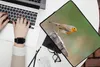 MuchoWow® Laptop Hülle 13 Zoll Tiere - Vogel - Rotkehlchen Produktbild-Vorschau 2