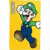 Nintendo Super Mario Sporttowel/Handtuch Luigi Produktbild-Vorschau 1