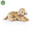 Peluche Golden Retriever 36 Cm Ecologico Anteprima dell’immagine prodotto 7