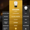 Evura Goods Vonkajšia svetelná reťaz – LED String Light – Náhľad obrázku produktu 2