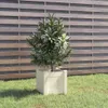 vidaXL Pflanzkübel Weiß 31x31x31 cm Massivholz Kiefer Produktbild-Vorschau 2