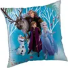 Cuscino Frozen 02 Family 40x40 cm Anteprima dell’immagine prodotto 1