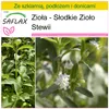 SAFLAX - Zestaw do uprawy - Zioła - Słodkie Zioło Stewii - Podgląd zdjęcia produktu 10