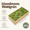 Islandmoos 500 g in über 30 Farben, konservierte Produktbild-Vorschau 6