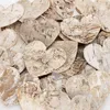 Birkenrinden Herzen 6cm 30 Stück Deko Holzherzen Natur Produktbild-Vorschau 3