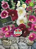 SPERLI Stockrosensamen Simplex 15 Pflanzen Produktbild-Vorschau 3