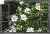 ARTland Poster Fensterblick - Wildrosen Größe: 120x80 cm Produktbild-Vorschau 1