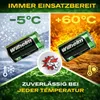 6 x Akku Baby C Wilhelm Universal 4500 mAh Akku Zelle 1,2 V Produktbild-Vorschau 3
