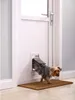 PetSafe Clapet pour animaux domestiques 620 Aluminium moins Voir les images du produit 5