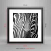 Gerahmtes Poster - Schwarzer Rahmen - Tiere Zebra gestreift Produktbild-Vorschau 5