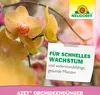 Neudorff  - Azet OrchideenDünger 250ml für 50L Gießwasser - Produktbild-Vorschau 6