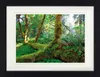 Wälder Gerahmtes Bild Mit Edlem Passepartout | Wand-Bilder Produktbild-Vorschau 1