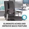 Fellowes Professional Series: Ergonomische rugsteun Productafbeelding-voorbeeld 8