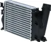 NRF 30972 Ladeluftkühler LLK für NISSAN Qashqai II (J11, Produktbild-Vorschau 10