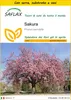 SAFLAX Insieme di coltivazione - Sakura - 30 semi - Prunus Anteprima dell’immagine prodotto 1