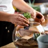 A person is planting a small succulent into a glass terrarium. Produktbild-Vorschau